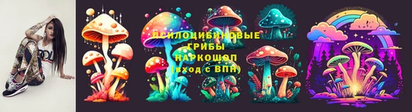 дмт Алексин
