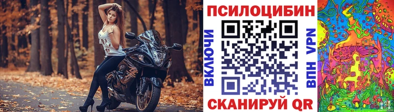 Псилоцибиновые грибы прущие грибы  Петропавловск-Камчатский 