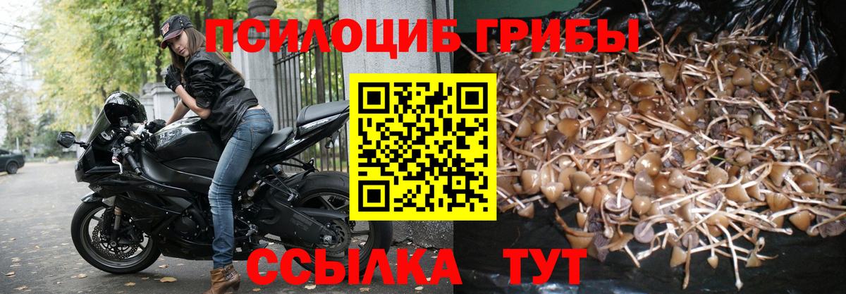 Псилоцибиновые грибы мицелий  Галлюциногенные грибы Psilocybine cubensis  Петропавловск-Камчатский  Вход с VPN 